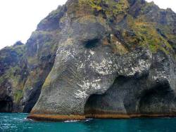 bl-ossomed:   natural rock formation on Heimaey, Iceland, called Elephant Rock.  Iceland is fucking magical 