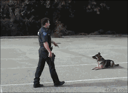 kelagoesbserk:  untalentedandhorny:  awwww-cute:  &ldquo;Oh boy Oh boy, we got a call! Let’s roll, partner!&rdquo;  HE OPENS AND CLOSES THE DOOR   Every time I see this gif I have to reblog it