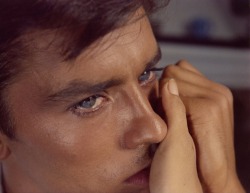lotuskiss:  wehadfacesthen:  Alain Delon as Tom Ripley in Plein soleil   AKA: Purple Noon  (Rene Clement, 1960), a French film based on Patricia Highsmith’s novel The Talented Mr. Ripley Trop belle pour vivre….  Joue pour moi 