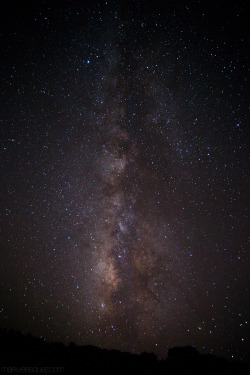 survivingwanderlust:  Went out to watch the Perseid Meteor shower this week and captured a few shots of the Milky Way in the process. This is the first time I’ve ever tried more than just a quick snapshot of the sky and it felt pretty satisfying.  