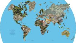 Camouflages of the world
