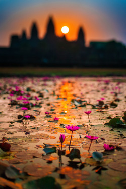 thingssheloves:  Angkor Wat by klOrklOr on Flickr. 