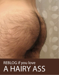 lovehairyleg:  lovespitsandpubes:  REBLOG if you love a hairy ass  Womens hairy Ass yesss 