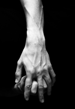 anthonyamadeo:  Hands by Anthony Amadeo  HAAANDS