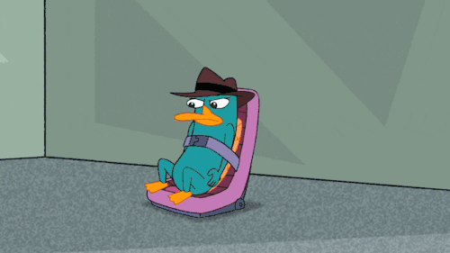 A Perry The Platypus Account