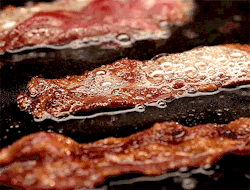 housewifesecrets:  beastisyettocome:  bacon  That is all. 