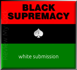 blackownednakedbitch: white-sugar-boy-4-bbc:  racetraitorwhiteguy:  nimrodderjaeger: Black race superior and rule for forever must accept that our race is inferior and destined to be bred away.    👗💂🍖🐂  Blacks stupefy and dominate whites.