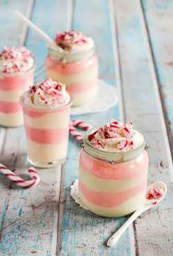 gastrogirl:  candy cane white chocolate mousse. 