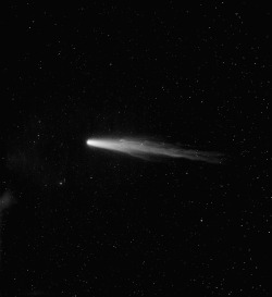 photos-of-space: Halley’s Comet - photographic plate taken in 1910 (1058x1155)