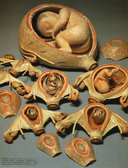 19th-century pregnant dolls - Fetus model set (circa 1877) - Toyota Collection