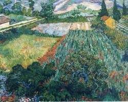 vincentvangogh-art:  Field with Poppies, 1889 Vincent van Gogh      I dreamt of this