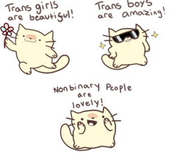 honeywifee: trans positivity cat! 