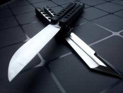 knifepics:  Balisong (Butterfly Knife) 