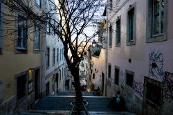 allthingseurope:  Lisbon, Potugal  (by Rita Paulo)