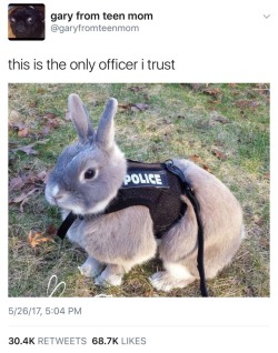 alostboyandaprincess:  m86:aint this that bitch from zootopia  My toddler watches this movie five thousand times a day and I showed him this and he instantly yelled “JUDY!”  Officer Judy Hops at your service