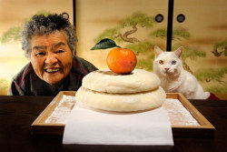 itsmicolmota:  heartwarming: &ldquo;For the last 13 years Japanese photographer Miyoko Ihara has been taking pictures of her grandma, Misao, to commemorate her life. 9 years ago, 88-year-old Misao found a stray odd-eyed cat in her shed: she called it