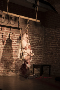 kinbakuluxuria:  Semenawa in Vienna. Rigger Riccardo Wildties, Model Redsabbath image © marsellus wallaces https://www.facebook.com/pages/Marsellus-Wallaces-Photography/211928912983?fref=ts