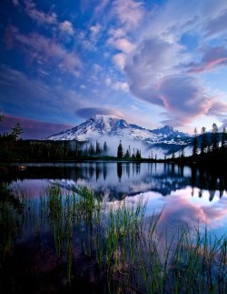 travelgurus:      Rainier National Park by Paul Bowman      Travel Gurus - Follow for more Nature Photographies!    