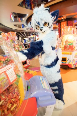 Aww can I have those candies?! - by RadyWolf Aaaahh so cute Why are Japanese fursuiters like 600% more adorable as a rule ffff
