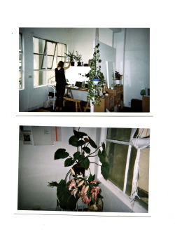 eviecahir:  Nicholson Building – Studio Visit / Scheming with Gemma. 