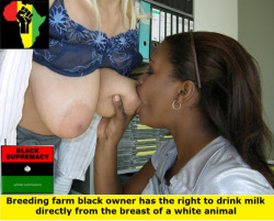 whiteshannon4bbc:  itsblackmandominance:  of course,  whites have no rights,  and no white baby will ever know the flavor of her milk.  All of our breast milk is the property of the black race now 