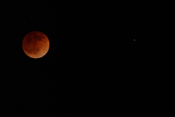 nationmindmachine:  Red Moon on the Tijuana sky