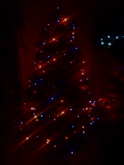 It&rsquo;s Christmas time!! :D :D Quest&rsquo; albero -a dire il vero- è un po&rsquo; Cagliaritano, visti i colori.. :/