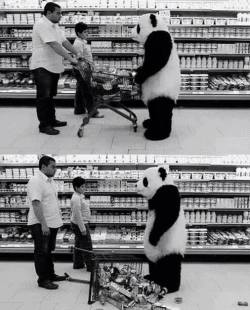 Nunca le digas no al panda&hellip;
