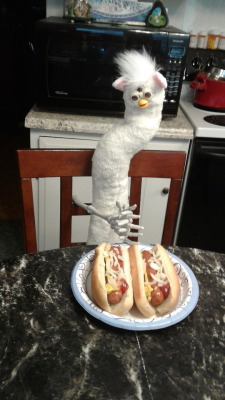 argent-ace: furbyfuzz: Today we are having… Hot Dog  what in the goddamn fuck  