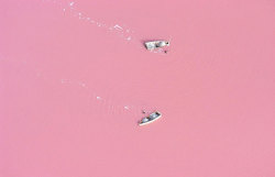 The Pink Lake, Senegal