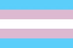 chipsngo: It’s Transgender Awareness Month.Also depending on who you ask it’s Trans Week or the week before Transgender Awareness Week. There is a subtle but pertinent lack of coordination among the community.The one thing we CAN count on though is