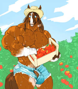 stagzuniverse:  After the tomatoes are harvested you gotta remember to milk the cows!  