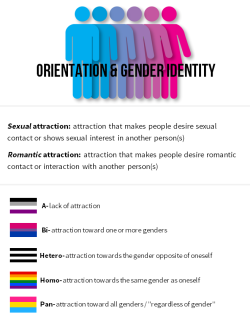 two-lesbians-in-a-trenchcoat:  mxcleod:  mmikan:  Here’s information about sexual/romantic orientations and gender identities that I put together! I..I don’t do graphic design, so this isn’t that great. Also, I’m very sorry if I missed your orientation