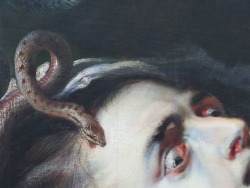 lysergamides:  &ldquo;Head of Medusa”, c.1617-18, Peter Paul Rubens (detail) 