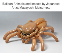 tastefullyoffensive:  Balloon Animal Art by Masayoshi Matsumoto (see more)  @arachno-va