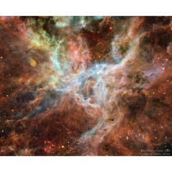 In the Heart of the Tarantula Nebula   Image Credit: ESA, NASA, Hubble, ESO; Processing: Danny LaCrue  Explanation: In the heart of monstrous Tarantula Nebula lies huge bubbles of energetic gas, long filaments of dark dust, and unusually massive stars.