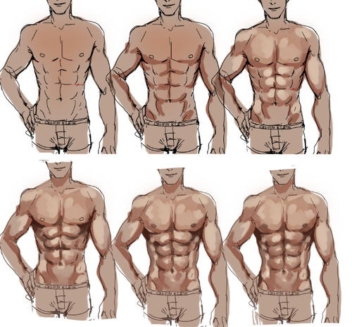 Anime Back Muscles Reference / How to Draw Anime & Manga Male & Female