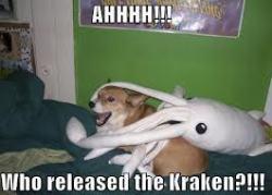 layilia:  How dare they release the Kraken on Corgi!!!