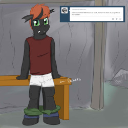 Personally?  Boxers.  Though I have this drawstring style, elastic bands aren&rsquo;t too common back at the hive, that&rsquo;s more of a pony thing.On my targets, I don&rsquo;t really care too much.  Though, I do prefer that they do wear some, none