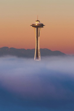 visualechoess: Settle Space Needle - by: Edmund Lowe 