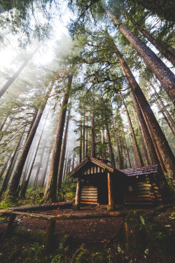 brianstowell:  I will shelter you. Olympic National Park, Washington // Instagram 