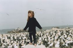disdainme:    At one with nature: Tippi aged 6 with her arms stretched out on Sea Bird Island, Africa.   My Book of Africa by Tippi Degré    