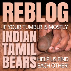 indianbears:  REBLOG ONLY IF YOUR TUMBLR IS DEVOTED TO MOSTLY DESI INDIAN, TAMIL, TELUGU, PAKISTANI BEARS, DADDIES AND CUBS!  I love to see handsome, hairy, sexy Indian Men - WOOF
