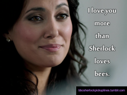 â€œI love you more than Sherlock loves bees.â€