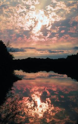maya47000:  Time for reflection by Laurie Hernandez 