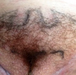 hairybushonly:  Like  👍  Re-Blog  🔄 Follow  👥  Submit!  📷   Thank you for your anonymous submission!  😎  ✅ Submit your hairy bush and other pictures / video submissions to us:#submit to @hairybushonly  📧 email us: hairybushonly@gmail.com