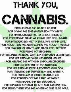 Thank you, Cannabis.