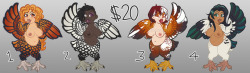 scales-and-spirals:   Something a little different for these adopts! Please take one of these lovely girls home with you to roost  (•ө•)♡ - All of them cost ฤ each.  I’m happy to take payment in GBP equivalent (£15) if that’s your main