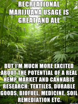 carlboygenius:  Hemp is a Sensible, Sustainable, Highly-Industrializable Plant We should utilize it. Hemp could solve many problems. END PROHIBITION. It is NOT just about smoking. 