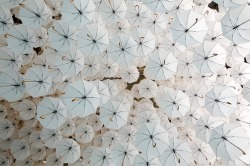 strangelfreak:  An installation of over 1,000 fanciful white umbrellas floated overhead at the 2015 Habitare Design Fair, infusing the space with a dreamy atmosphere. The installation was the brainchild of environmental artist Kaisa Berry and creative